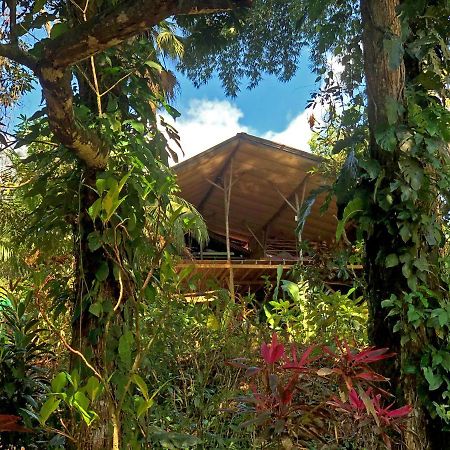 Cascada Verde Hostel Uvita Exterior photo